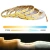 Светодиодная лента адресная мульти, 24V, 10W, IP20 (2700-6500К) комплект